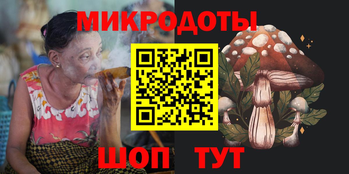 Псилоцибиновые грибы Psilocybine cubensis Губаха
